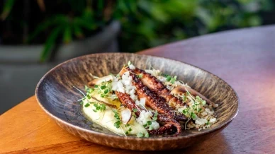 Litoral Norte recebe 19º Tempero no Forte com 27 restaurantes e pratos especiais; confira a lista