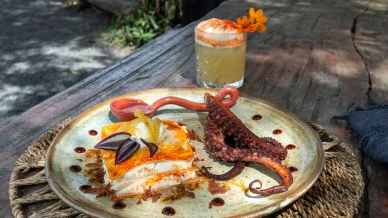 Festival Tempero Bahia 2026 celebra sabores da Mata Atlântica com pratos inéditos