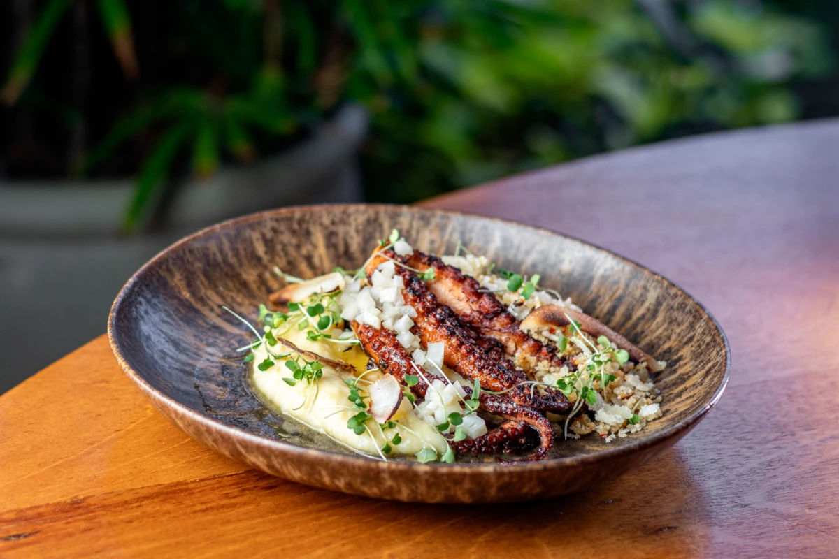 Litoral Norte recebe 19º Tempero no Forte com 27 restaurantes e pratos especiais; confira a lista