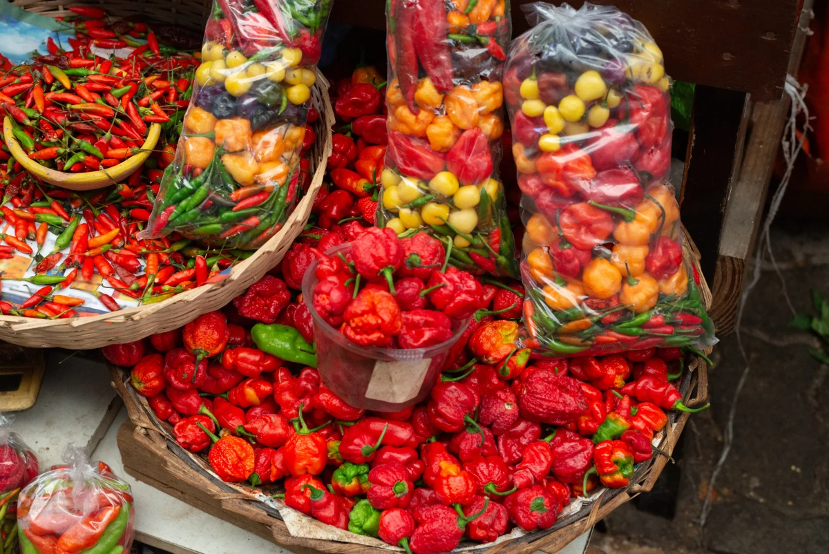 Aromas e sabores da Mata Atlântica se tornam tema do Festival Tempero Bahia